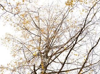  Different views of autumn scenery