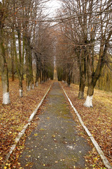  Different views of autumn scenery
