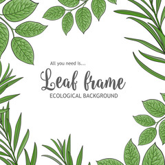 Square banner, frame of tree twigs, branches with fresh green leaves and round place for text, sketch vector illustration isolated on white background. Square frame of hand drawn twigs, leaves