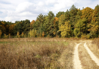 Fototapeta na wymiar Different views of autumn scenery