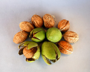 walnuts on a gray or white background