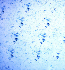 abstract background photo
