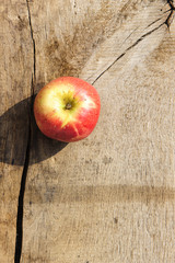 one apple on rustic-oak-background