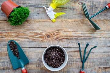 Planting flowers. Gardening tools and pots with soil on wooden background top view copyspace