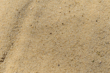 Background of the yellow sand