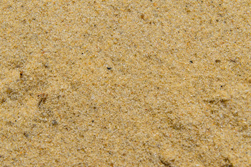 Background of the yellow sand