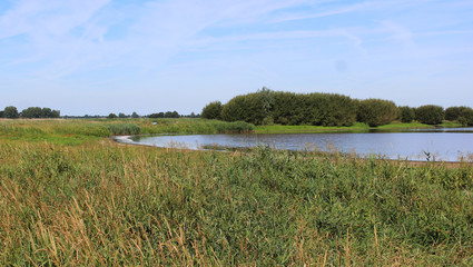 landscape Groene Jonker, Nieuwkoopse Plassen