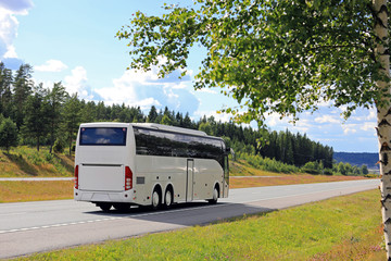 White Bus Travel in Summer