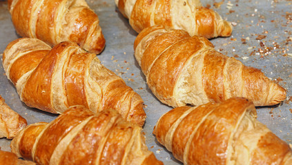 Freshly baked golden croissants close up