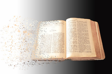 Bible book of decay effect