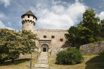 Fototapeta na wymiar Entrance to the medieval fortress in Buda Castle in Budapest