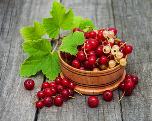 Bowl with red currant
