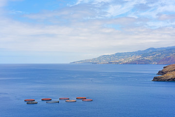 Obraz premium Fish farming in Atlantic Ocean.