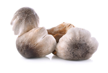 Straw mushrooms