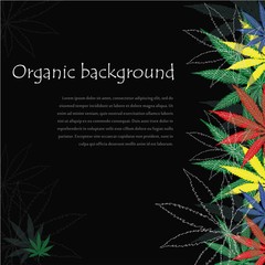 Marijuana leafs. Cannabis plant background. Hand drawn style.
