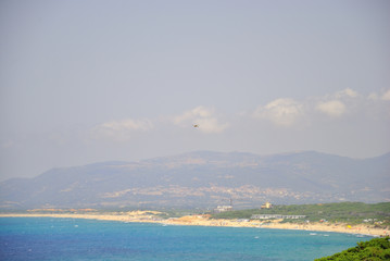 Birdwatching in Sardegna