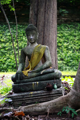 The old and very ancient Buddha was placed under the tree.