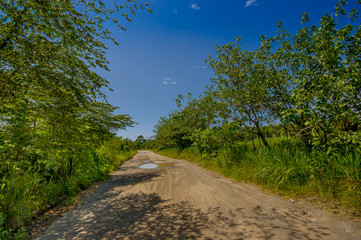 Rocky pavement road in the coast, surrounded with abundat vegetation in a sunny day in the Ecuadorian coasts