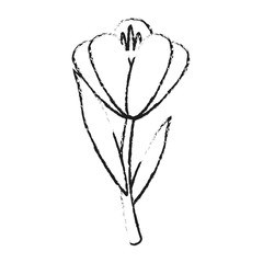 delicate flower icon image