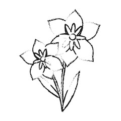 delicate flower icon image