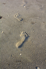 foot prints in the sand at the beach 