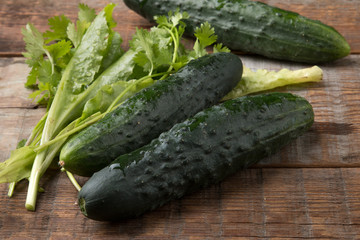 Cucumbers on a wooden background