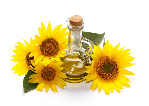 Sunflowers and glass bottle of oil isolated on white background