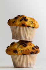 Couple of tasty vanilla muffins with chocolate chunks on bright white background.