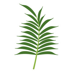 Fototapeta premium delicate flower icon image