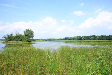 The scenic Dolina Baryczy National Park in Poland