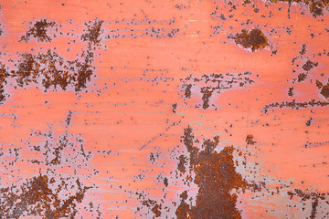 Pale red background with rust elements