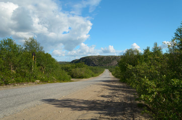 Dirt road goes far surrounded by green bushes.
