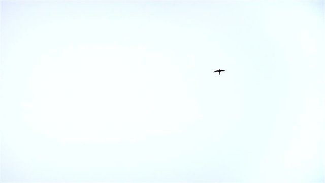 Swift Loop