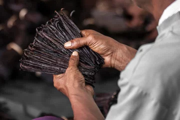 Vanilla of Antalaha © Pierre-Yves Babelon
