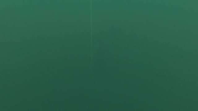 Apnoetaucher taucht ab und wieder auf