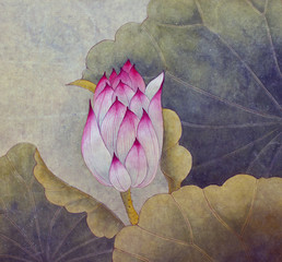 Pączek różowego lotosu - 165600200