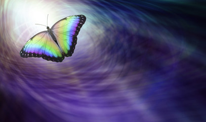 Symbolic Spiritual Release -  Beautiful multicoloured butterfly moving into the light depicting a...