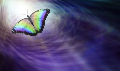Foto op Plexiglas Symbolische spirituele bevrijding - Prachtige veelkleurige vlinder die naar het licht beweegt en een vertrekkende ziel afbeeldt © Nikki Zalewski