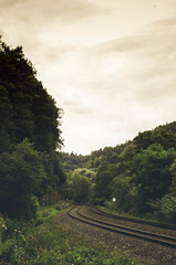 Dark forest railroad background - 165603015
