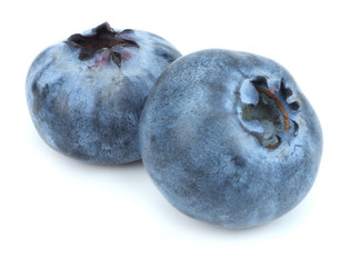 Obraz premium blueberries isolated on white background. macro