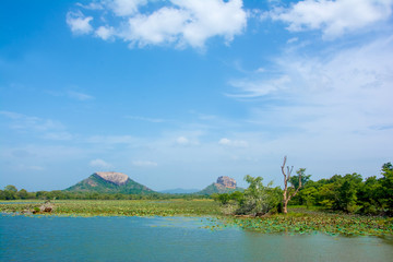 Sigiriya Rock Fortress View From Thalkote Lake. Spending the evening time around Thalkote lake is a popular way among the tourists