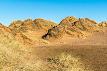 Sand dunes.