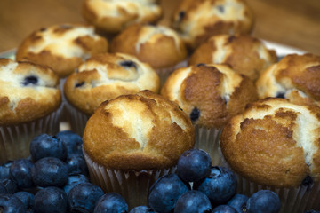 Blueberry muffins 