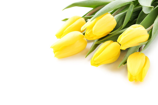 Bouquet of yellow tulips isolated on a white
