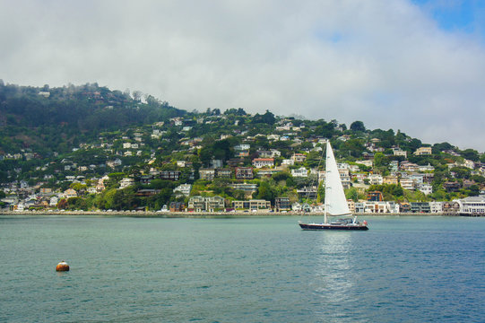 Sail Boat In Richardson Bay Sausalito