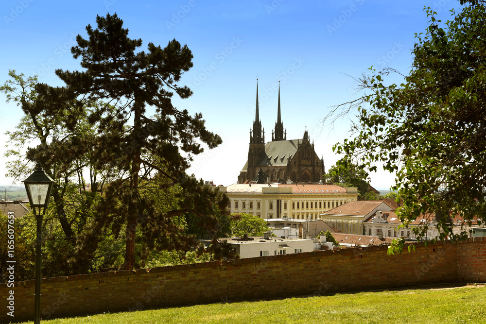 Wall mural cathedral of st. peter and paul in brno, czech republic