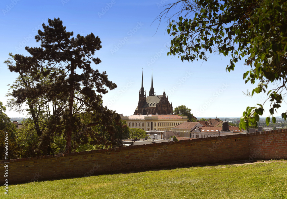 Wall mural cathedral of st. peter and paul in brno, czech republic