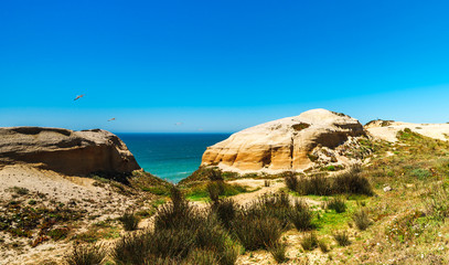 Vivid yellow sand and rocks on coastline, Portugal