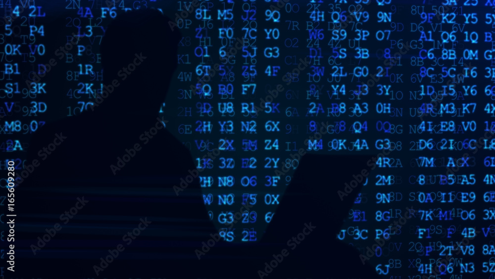 Poster computer hacker silhouette of hooded man with binary data and network security terms 3d illustration