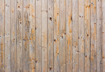 Wooden wall background